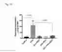 Fig. 10 - Methods for reducing cardiotoxicity from chemotherapy by administering humanin analog compositions