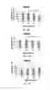 Fig. 02 - Methods and compositions for treating disorders and diseases using Survival Motor Neuron (SMN) protein