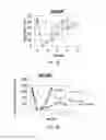 Fig. 05 - Methods and compositions for treating disorders and diseases using Survival Motor Neuron (SMN) protein