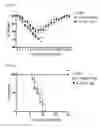 Fig. 04 - Method for preventing or treating influenza virus infection using pharmaceutical composition comprising immunoglobulin Fc-fused interleukin-7 fusion protein