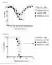 Fig. 05 - Method for preventing or treating influenza virus infection using pharmaceutical composition comprising immunoglobulin Fc-fused interleukin-7 fusion protein