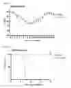 Fig. 07 - Method for preventing or treating influenza virus infection using pharmaceutical composition comprising immunoglobulin Fc-fused interleukin-7 fusion protein