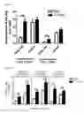 Fig. 10 - Method for preventing or treating influenza virus infection using pharmaceutical composition comprising immunoglobulin Fc-fused interleukin-7 fusion protein