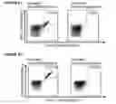 Fig. 29 - Peptides and combination of peptides for use in immunotherapy against CLL and other cancers