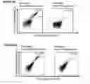 Fig. 30 - Peptides and combination of peptides for use in immunotherapy against CLL and other cancers