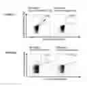 Fig. 28 - Peptides and combination of peptides for use in immunotherapy against CLL and other cancers
