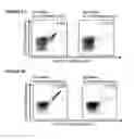 Fig. 29 - Peptides and combination of peptides for use in immunotherapy against CLL and other cancers