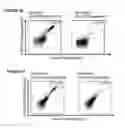 Fig. 30 - Peptides and combination of peptides for use in immunotherapy against CLL and other cancers