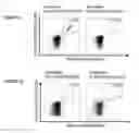 Fig. 28 - Peptides and combination of peptides for use in immunotherapy against CLL and other cancers
