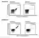 Fig. 29 - Peptides and combination of peptides for use in immunotherapy against CLL and other cancers