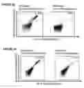 Fig. 30 - Peptides and combination of peptides for use in immunotherapy against CLL and other cancers