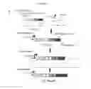 Fig. 04 - Immunogenic compositions containing bacterial outer membrane vesicles and therapeutic uses thereof