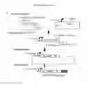 Fig. 05 - Immunogenic compositions containing bacterial outer membrane vesicles and therapeutic uses thereof