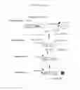 Fig. 06 - Immunogenic compositions containing bacterial outer membrane vesicles and therapeutic uses thereof