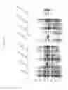 Fig. 15 - Immunogenic compositions containing bacterial outer membrane vesicles and therapeutic uses thereof