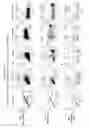 Fig. 02 - Genetically modified cells and uses thereof