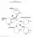 Fig. 15 - Genetically modified cells and uses thereof