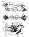 Fig. 02 - Dengue virus e-glycoprotein polypeptides containing mutations that eliminate immunodominant cross-reactive epitopes