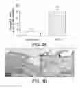 Fig. 06 - Ferritin nanoparticle compositions and methods to modulate cell activity
