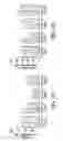 Fig. 11 - Ferritin nanoparticle compositions and methods to modulate cell activity