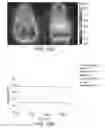 Fig. 28 - Ferritin nanoparticle compositions and methods to modulate cell activity