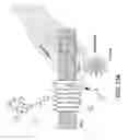 Fig. 29 - Ferritin nanoparticle compositions and methods to modulate cell activity
