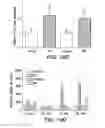 Fig. 35 - Ferritin nanoparticle compositions and methods to modulate cell activity