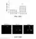 Fig. 56 - Ferritin nanoparticle compositions and methods to modulate cell activity