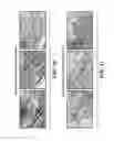 Fig. 19 - RECONSTITUTING HEMATOPOIETIC CELL FUNCTION USING HUMAN EMBRYONIC STEM CELLS
