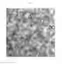 Fig. 03 - LIPIDS FOR DELIVERY OF THERAPEUTICS