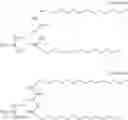 Fig. 08 - LIPIDS FOR DELIVERY OF THERAPEUTICS