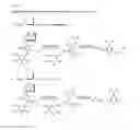 Fig. 02 - Compounds comprising self-immolative group