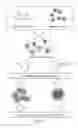 Fig. 08 - Pharmaceutical composition and methods for using the same