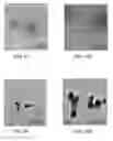 Fig. 09 - Pharmaceutical composition and methods for using the same