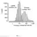 Fig. 04 - Heterologous UTR sequences for enhanced mRNA expression