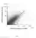 Fig. 06 - Heterologous UTR sequences for enhanced mRNA expression
