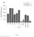Fig. 07 - Heterologous UTR sequences for enhanced mRNA expression