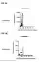 Fig. 07 - RNA transcription vector and uses thereof