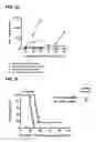 Fig. 09 - RNA transcription vector and uses thereof