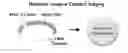 Fig. 01 - LENS REGENERATION USING ENDOGENOUS STEM/PROGENITOR CELLS