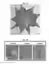 Fig. 03 - LENS REGENERATION USING ENDOGENOUS STEM/PROGENITOR CELLS