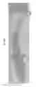 Fig. 24 - LENS REGENERATION USING ENDOGENOUS STEM/PROGENITOR CELLS