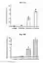 Fig. 30 - LENS REGENERATION USING ENDOGENOUS STEM/PROGENITOR CELLS