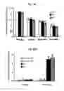 Fig. 31 - LENS REGENERATION USING ENDOGENOUS STEM/PROGENITOR CELLS