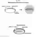 Fig. 35 - LENS REGENERATION USING ENDOGENOUS STEM/PROGENITOR CELLS