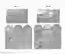 Fig. 08 - Patch graft compositions for cell engraftment