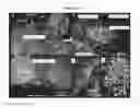 Fig. 09 - Patch graft compositions for cell engraftment