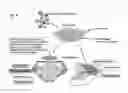 Fig. 16 - Patch graft compositions for cell engraftment
