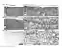 Fig. 28 - Patch graft compositions for cell engraftment