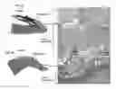 Fig. 07 - PATCH GRAFT COMPOSITIONS FOR CELL ENGRAFTMENT